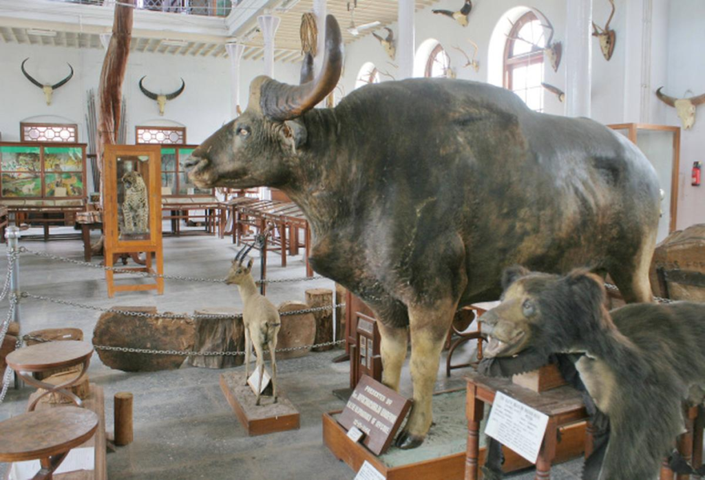 Campuses, Museums, and Institutional Landscapes