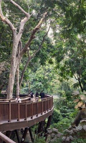 Malabar Walkway, Munbai, India, Architect IMK.