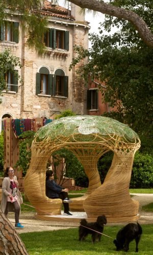 Venice Bienalle