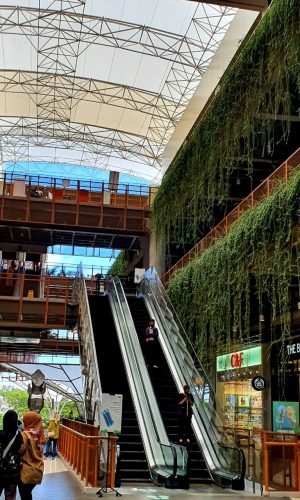 WhatsApp Image 2026-03-26 at 16.17.26